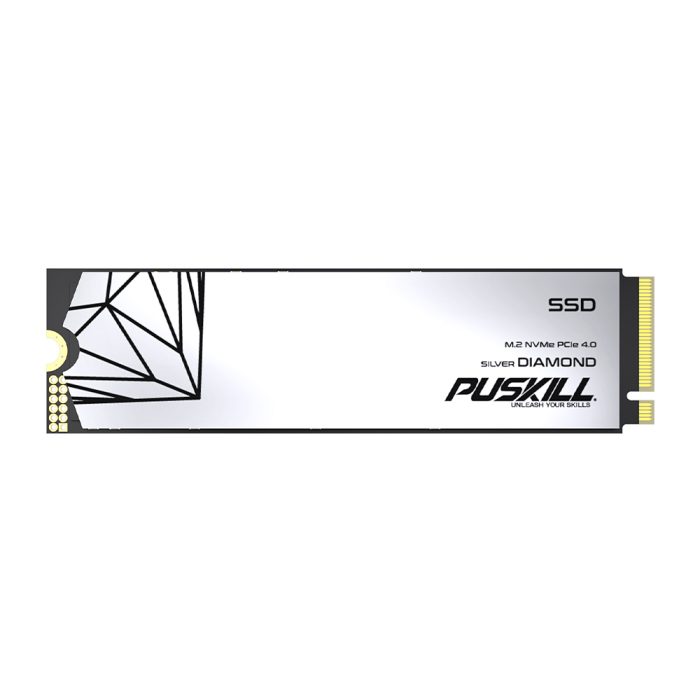 Puskill M.2 NVME 2280 SSD 4.0